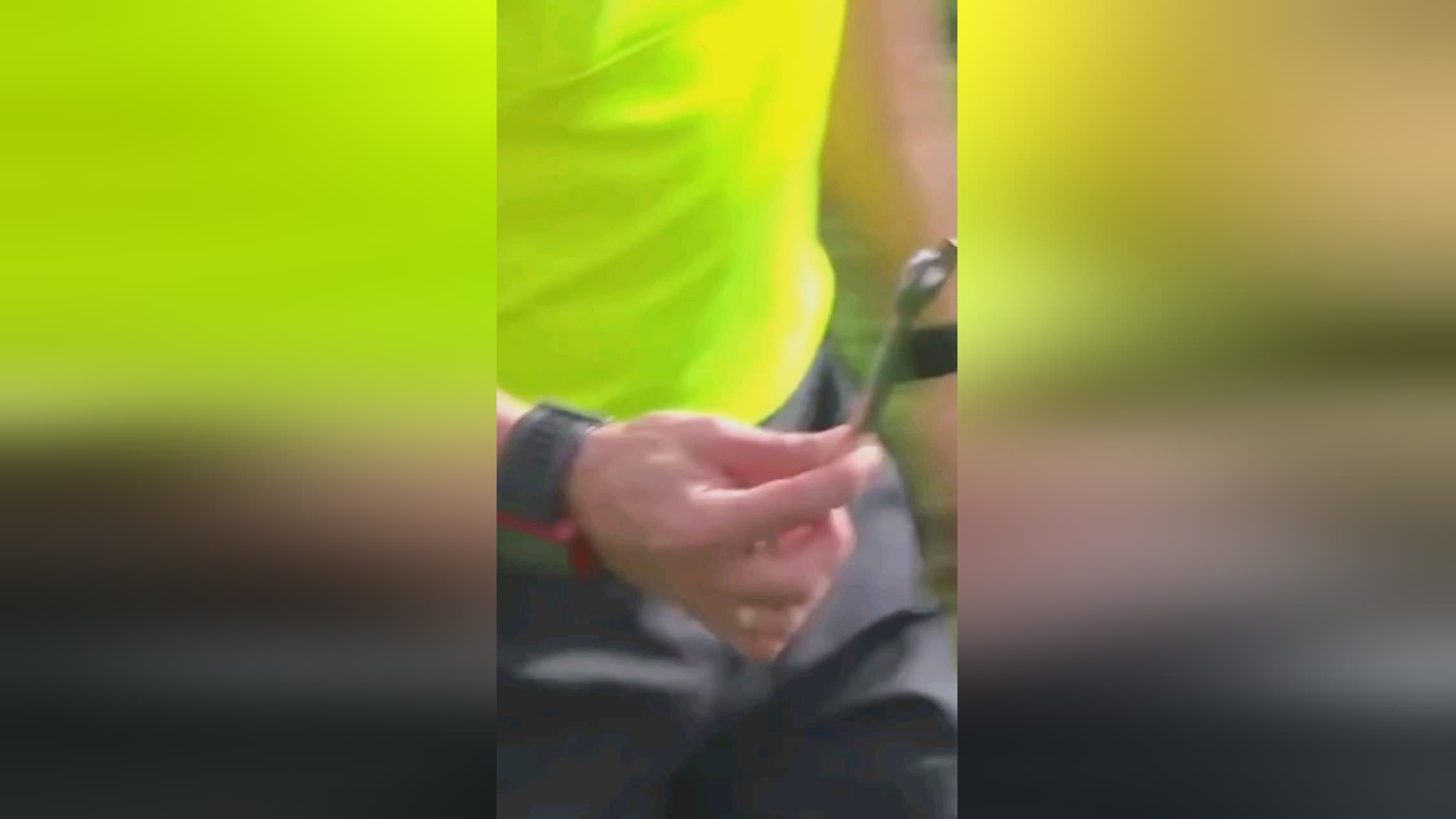 就是一个成